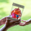 Everything you need to know about glass friendship balls — their fascinating history, what they symbolise, how they're made and how to choose the perfect one. Your complete guide from Aspire Art Glass.