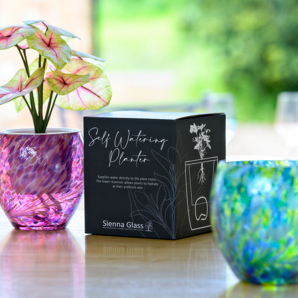 Self Watering Planters