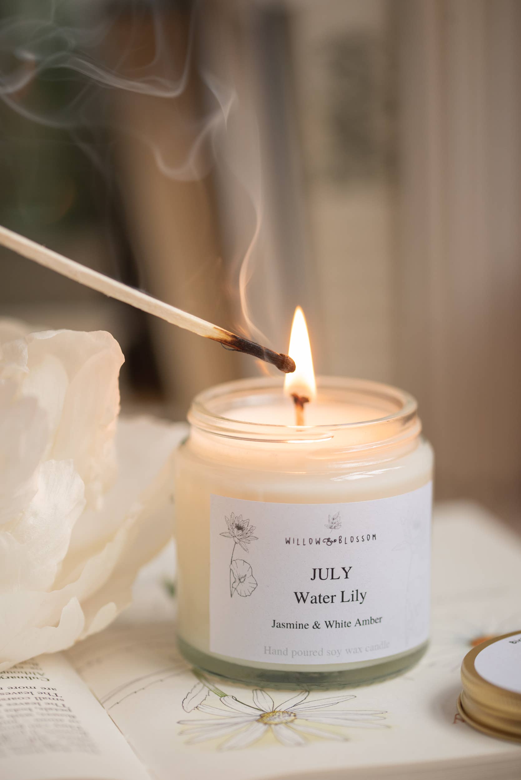 Birth flower Candles : February