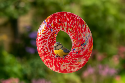 Hanging Bird Feeder - Red