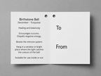 Birthstone Ball - December - Turquoise