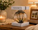 Engagement Gift Spirit Ball - Pastel Silver