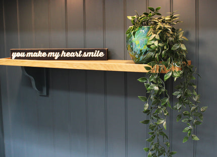 Self Watering Plant Pot - Green & Blue