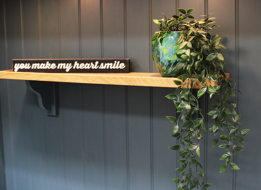 Self Watering Plant Pot – Green & Blue (Modern Indoor Planter)