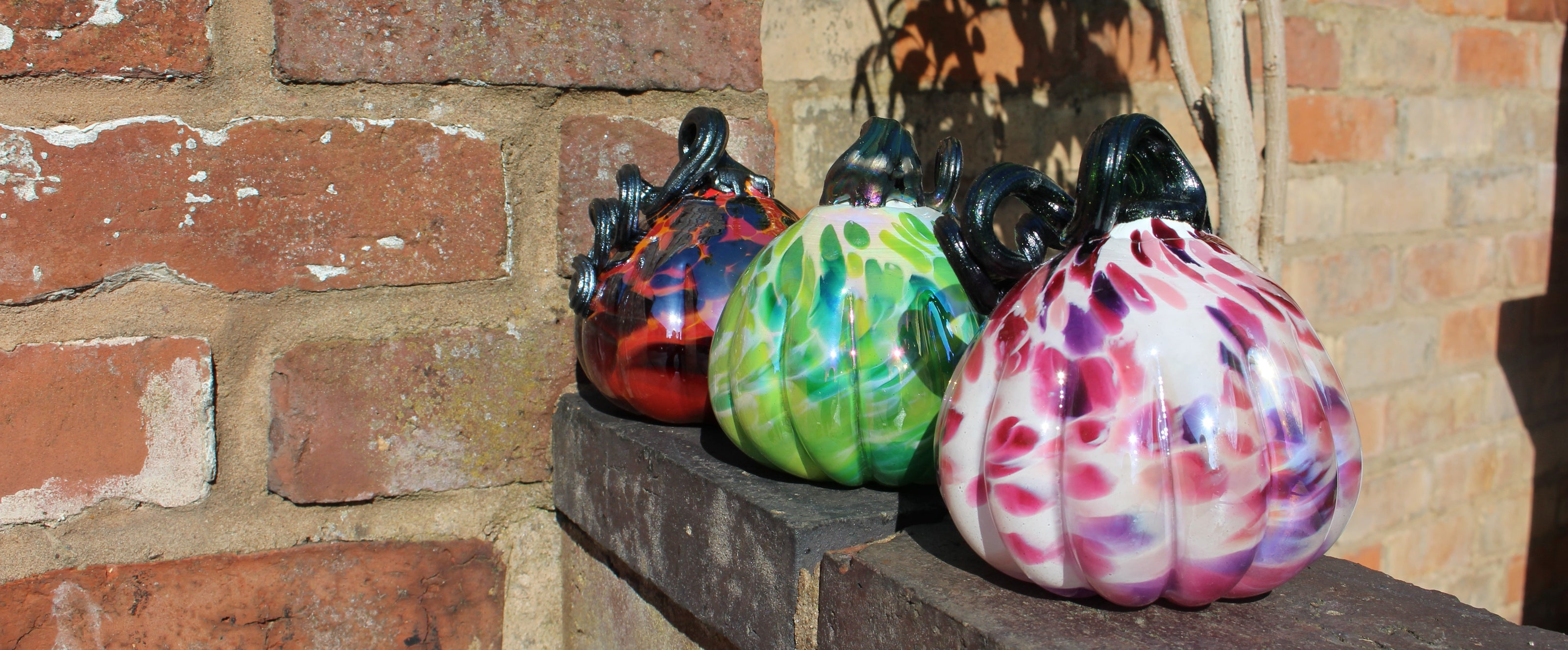 Harvest Pumpkin - Pink