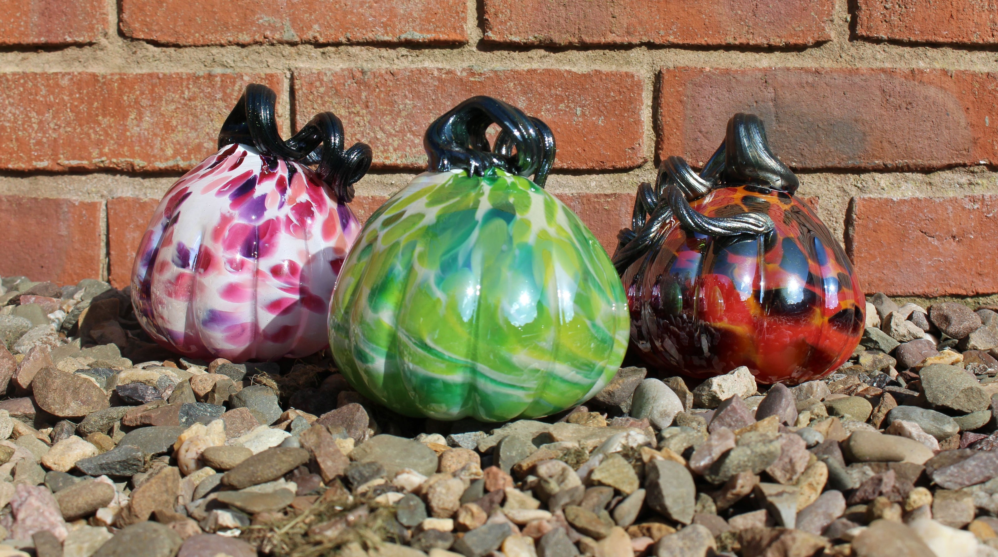 Harvest Pumpkin - Green