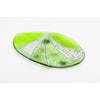Green Fused Glass Oval Bowl