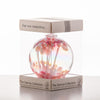 Valentine's Day Gift 10cm Spirit Ball - Pastel Pink