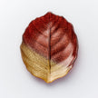 Glass Plate - Leaf Design - Brown & Gold - Aspire Art Glass