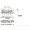 10cm Spirit Ball - White